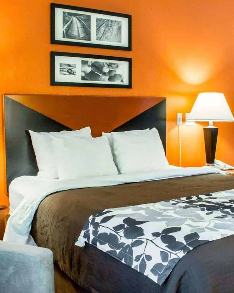 Sleep Inn Mt Pleasant - Charleston in Charleston South Carolina (2)