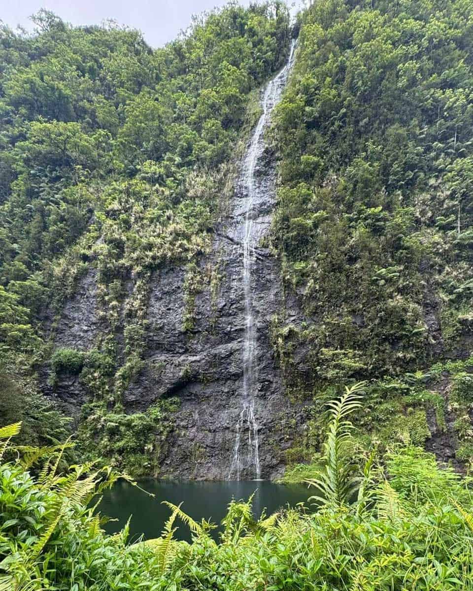Te Mana Tahiti Tours in Tahiti 1