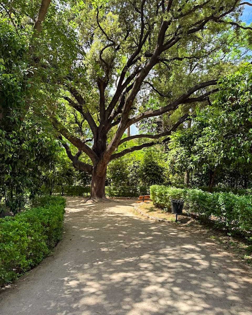 The National Gardens in Athens Greece on Hannah trip