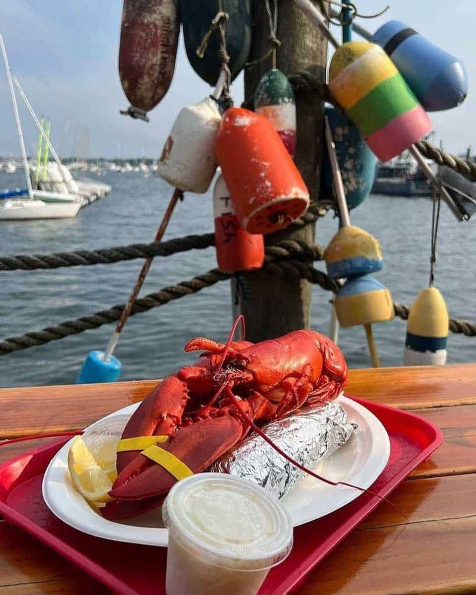 The Newport Lobster Shack in Newport Rhode Island 1