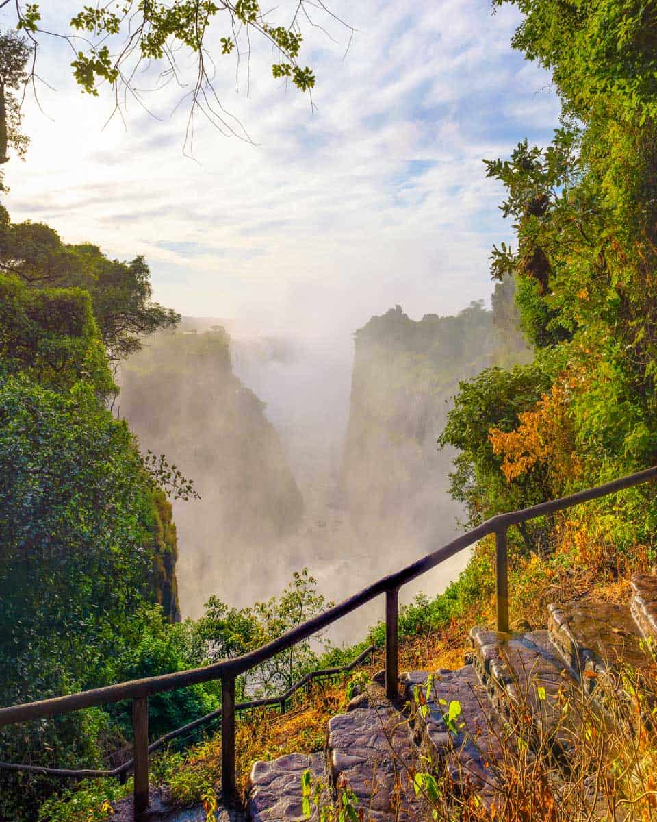 The Victoria Falls Rainforest Trail in Victoria Falls Zimbabwe