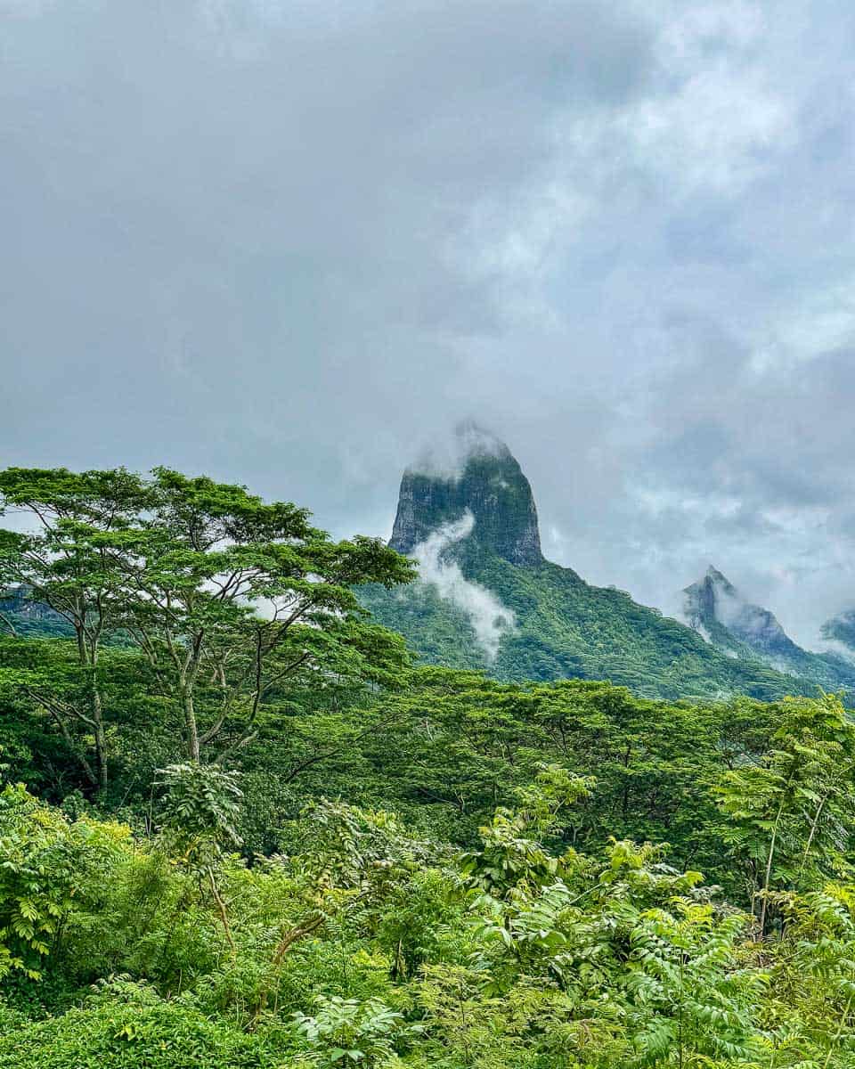 View of Mount Rotui from Belvedere Lookout, Moorea