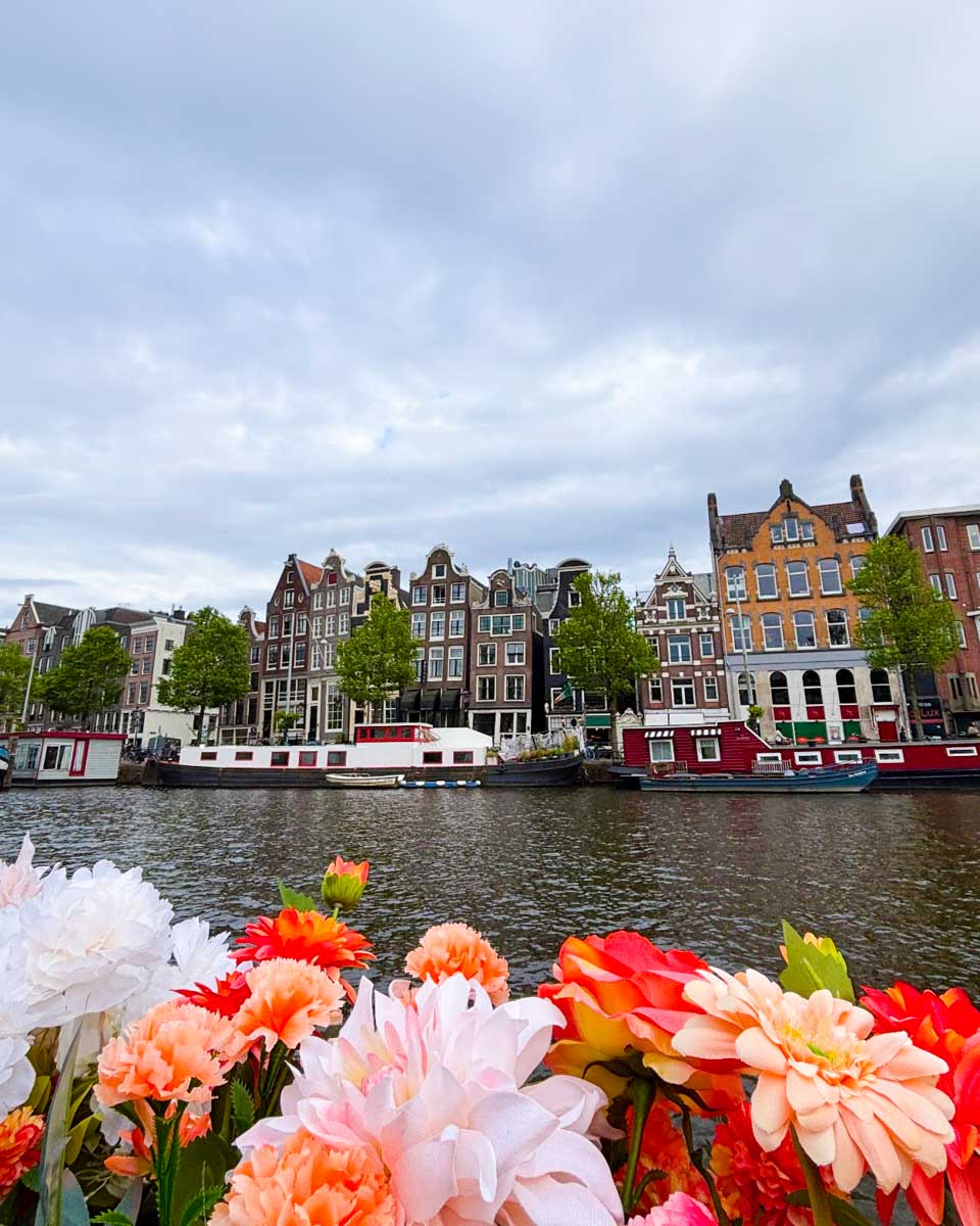 View of houses along the canal on an Amsterdam canal cruise