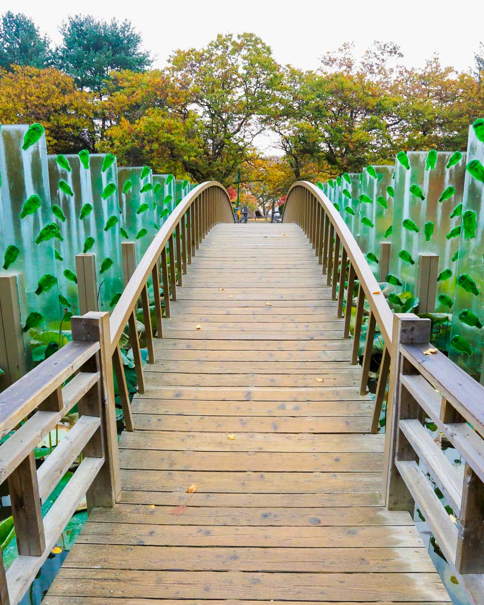 A bridge and nature on Nami Island on a tour from Seoul South Korea 1
