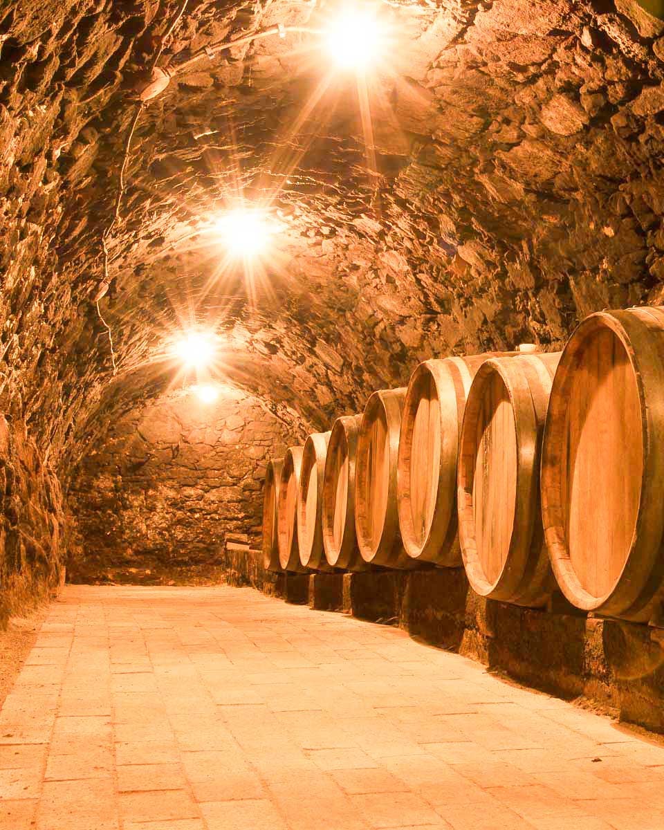 A-wine-cellar-in-Madrid-Spain