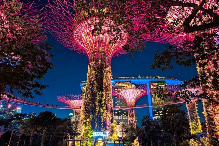 Glowing Supertree Grove Gardens by the Bay in Singapore at night