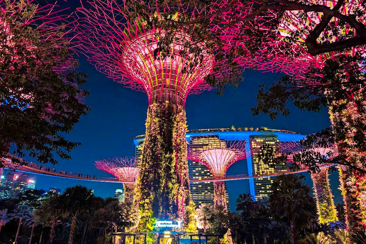Glowing Supertree Grove Gardens by the Bay in Singapore at night