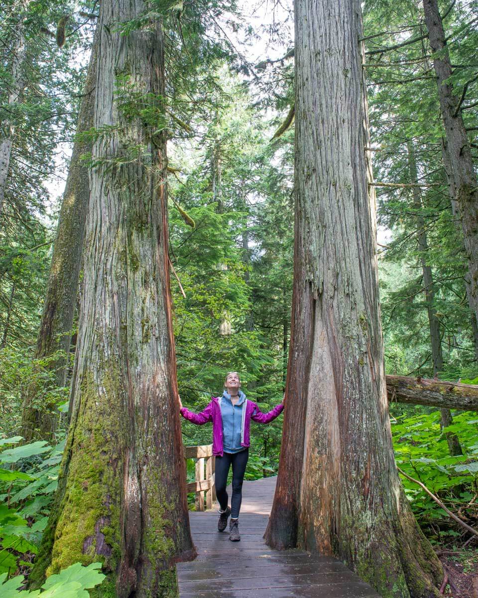 Bailey-smiles-between-trees-near-Ketchikan-Alaska