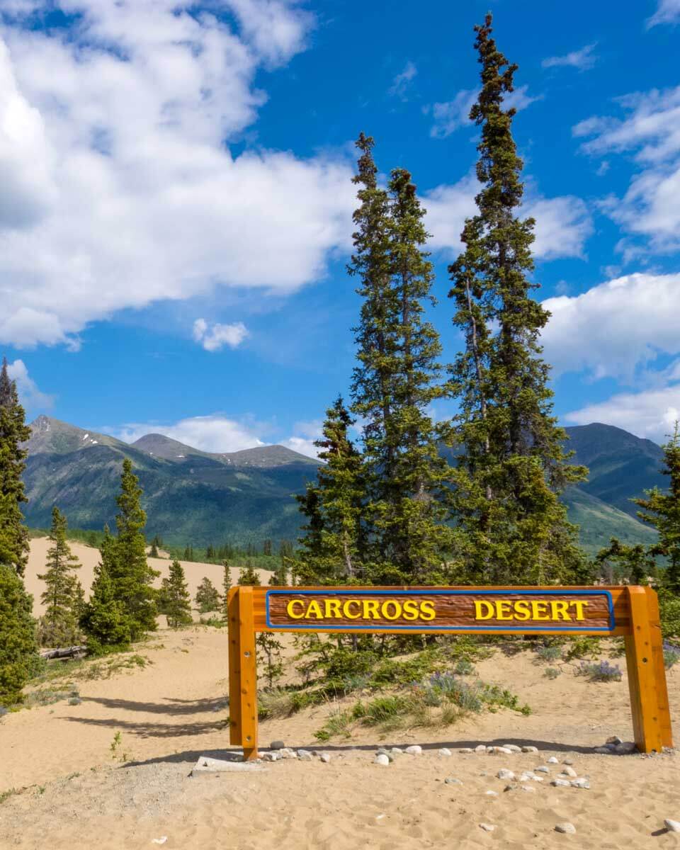 Carcross Desert seen on a tour from Skagway Alaska
