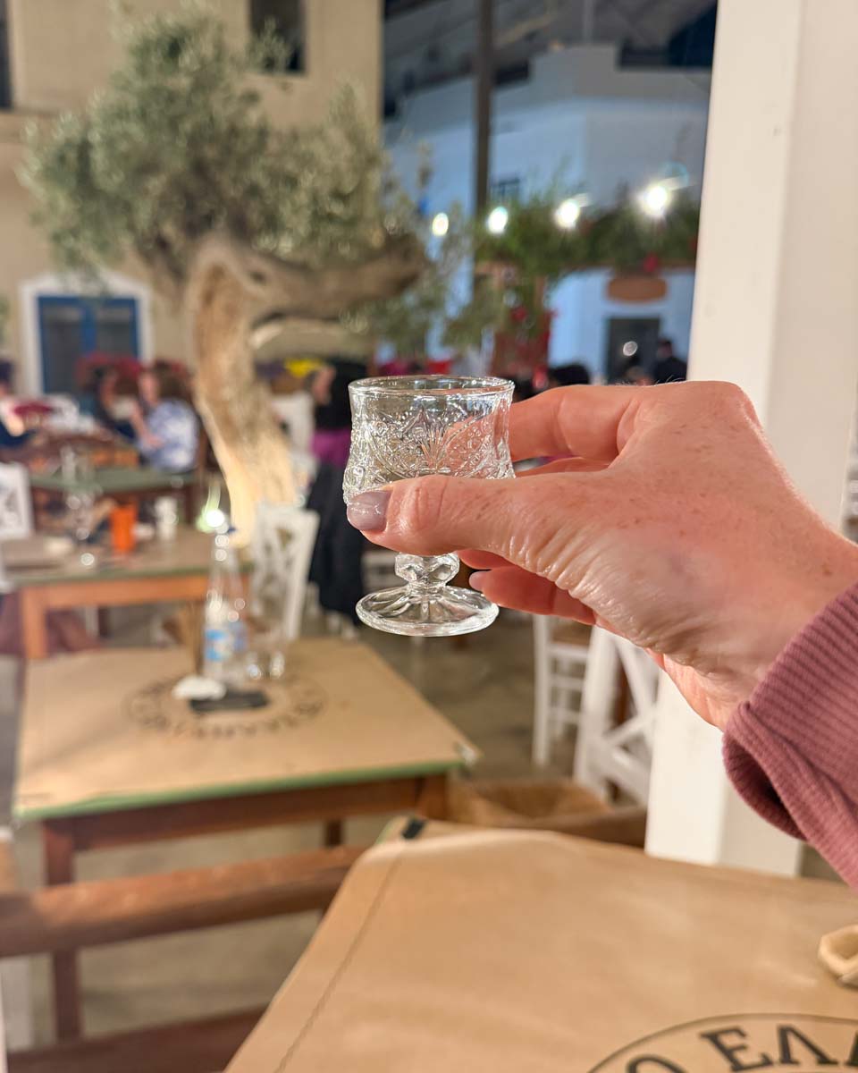 Dinner at Eliniko in Naxos Greece on Hannah trip 1