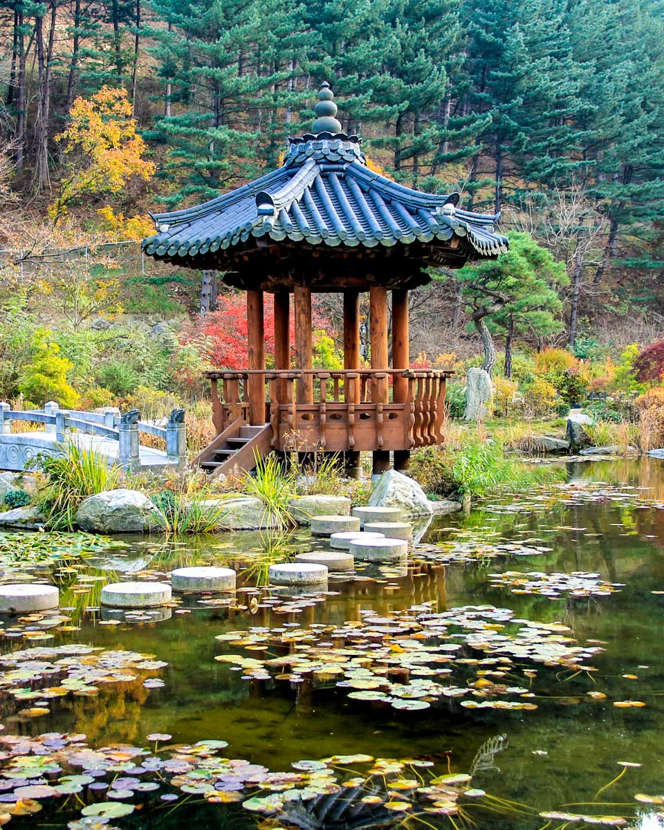 Garden of Morning Calm on Nami Island near Seoul South Korea 1