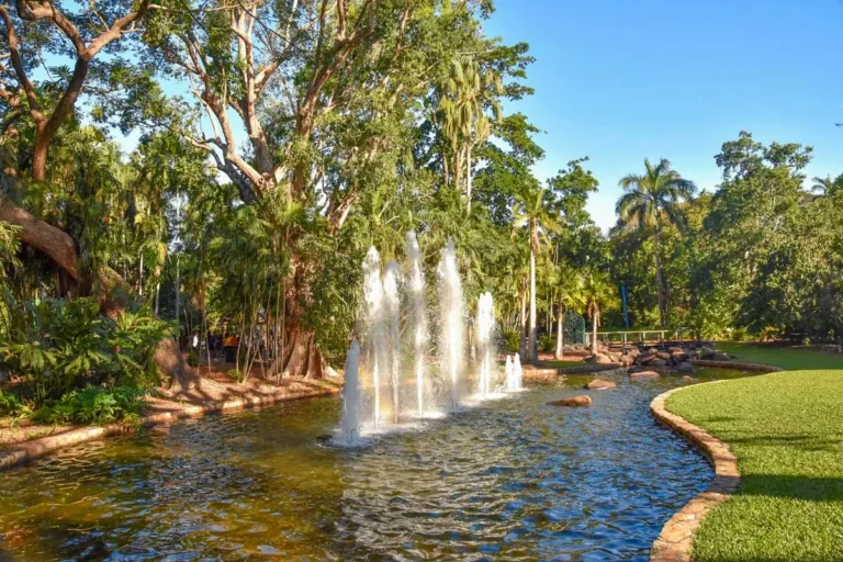 George Brown Darwin Botanic Gardens in Darwin Australia 1