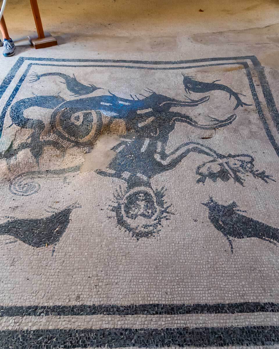 Herculaneum-excavation-in Pompeii Italy