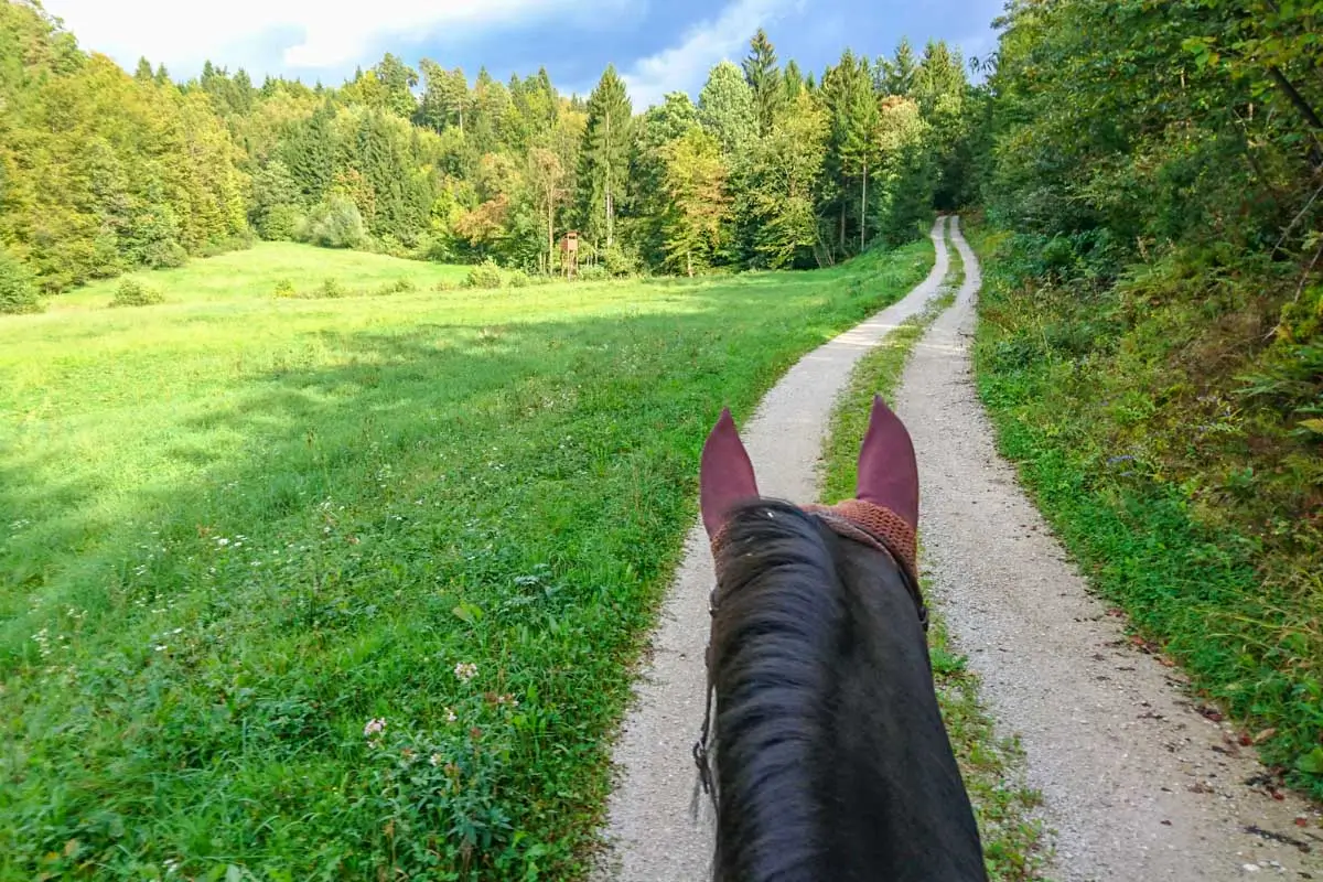 Horseback tour in Rovaniemi Finland