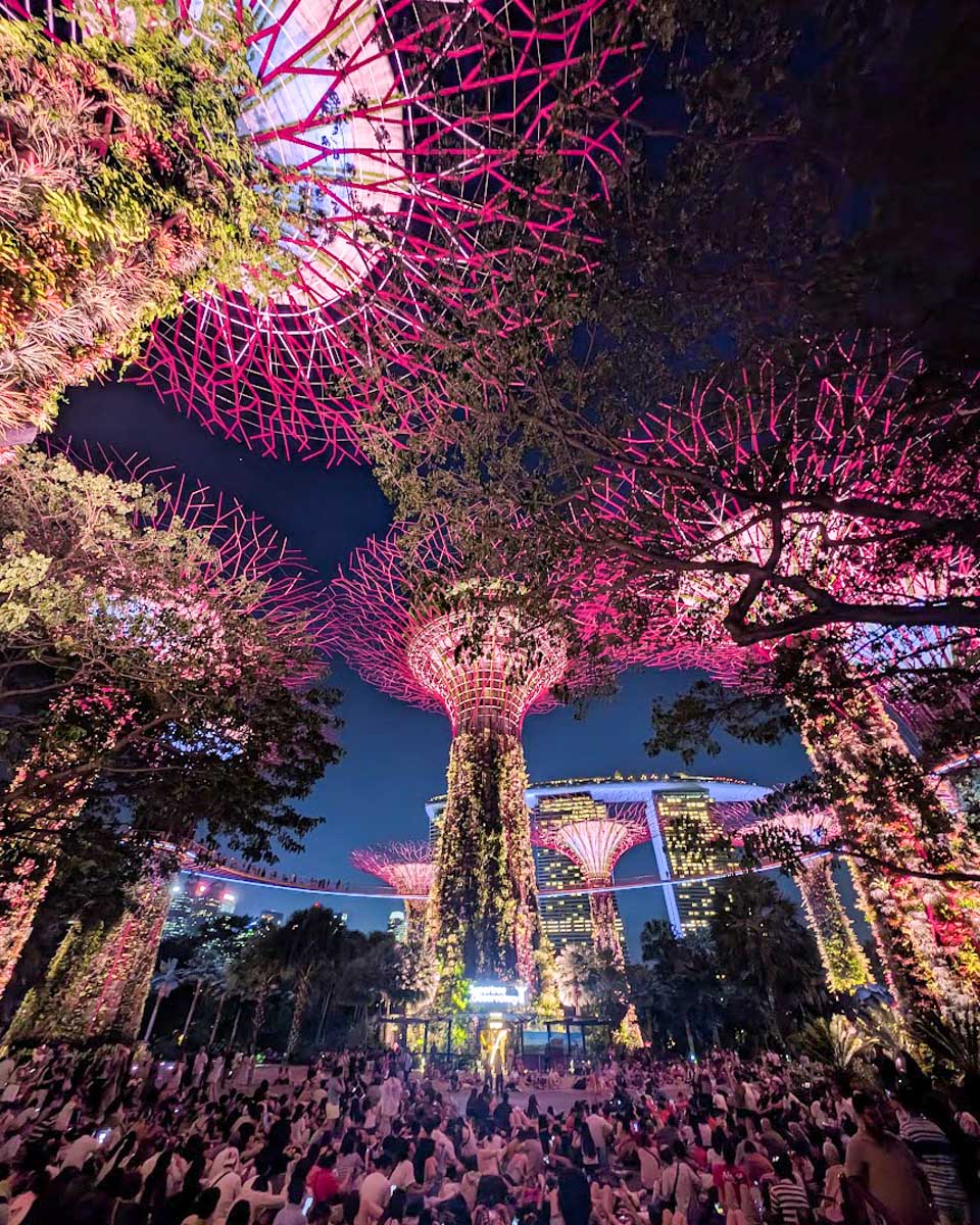 The Supertrees lit up during the light show at the Gardens by the Bay in Singapore at night