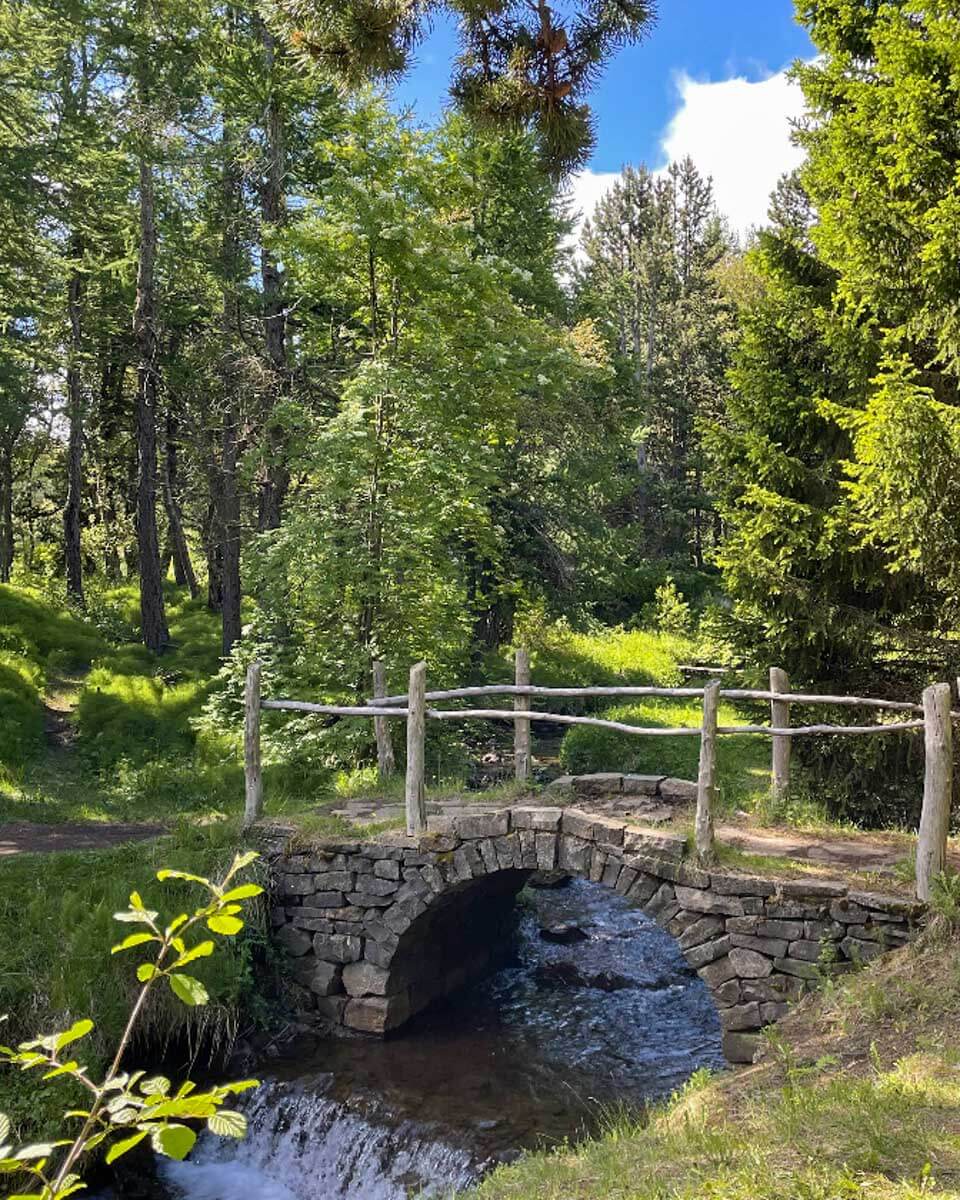 Kjarnaskógur Forest in Akureyri, Iceland (1)