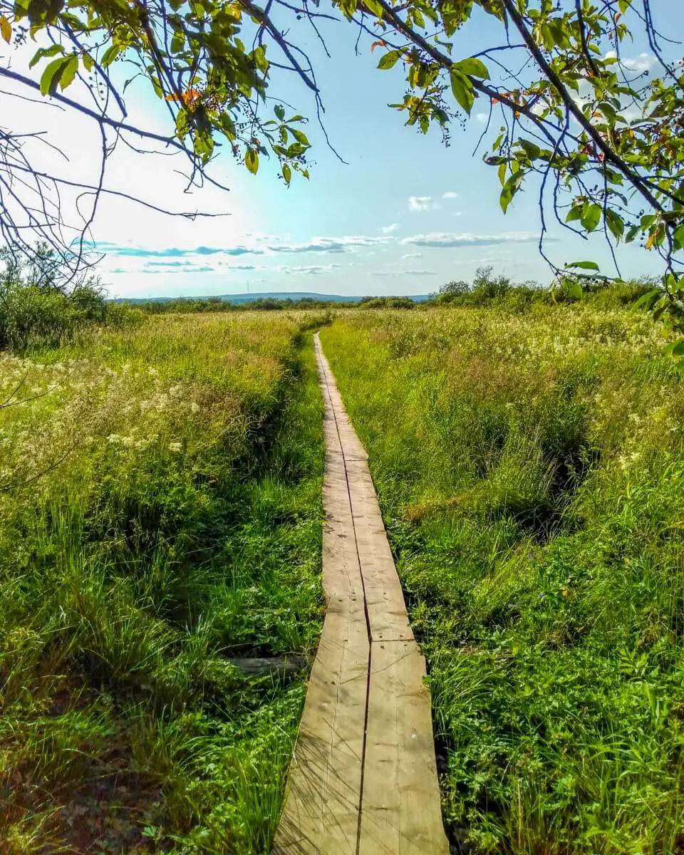 Koivusaari-nature-trail-by-Rovaniemi-Finland-1