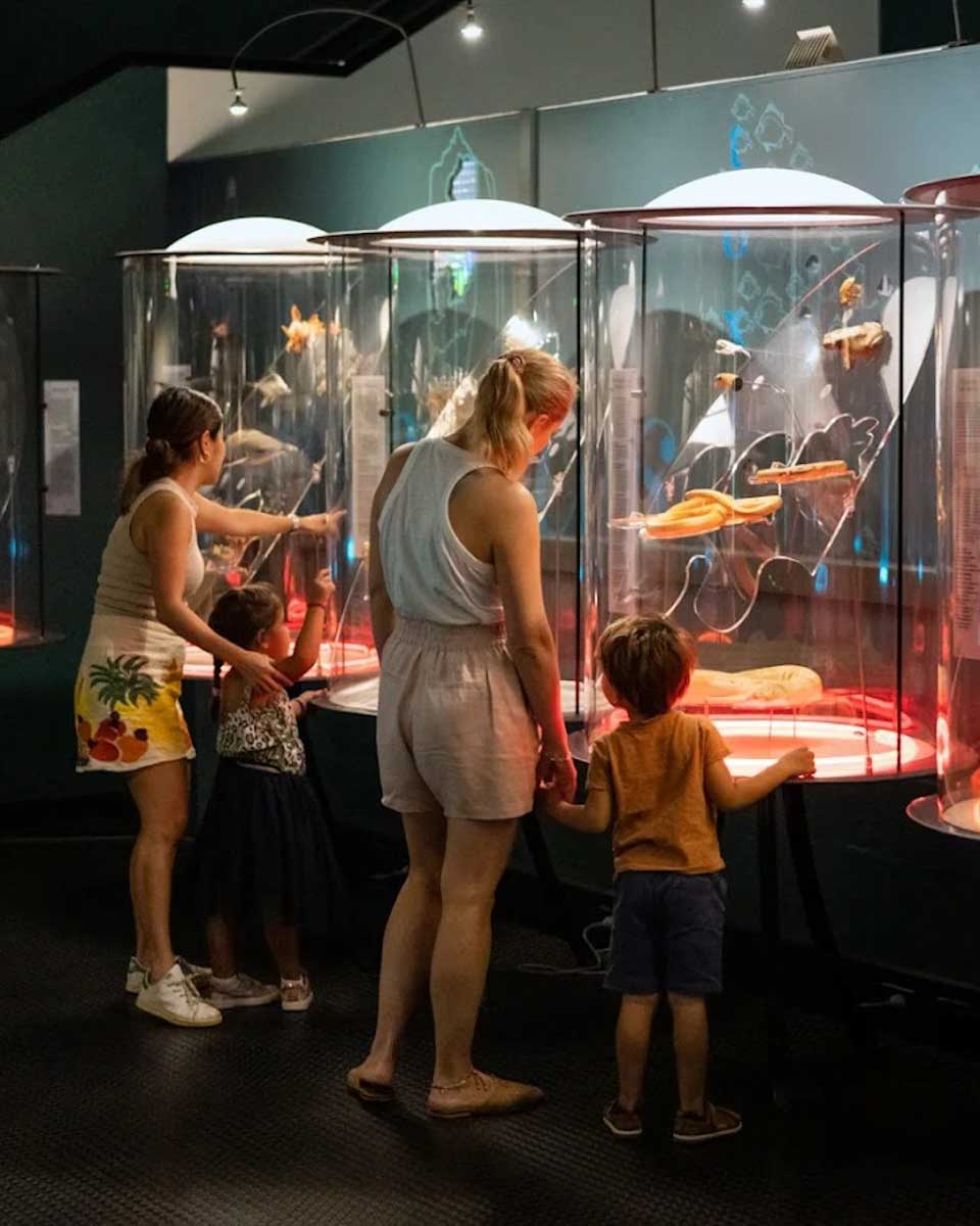 Museum and Art Gallery of the Northern Territory in Darwin Australia (1)