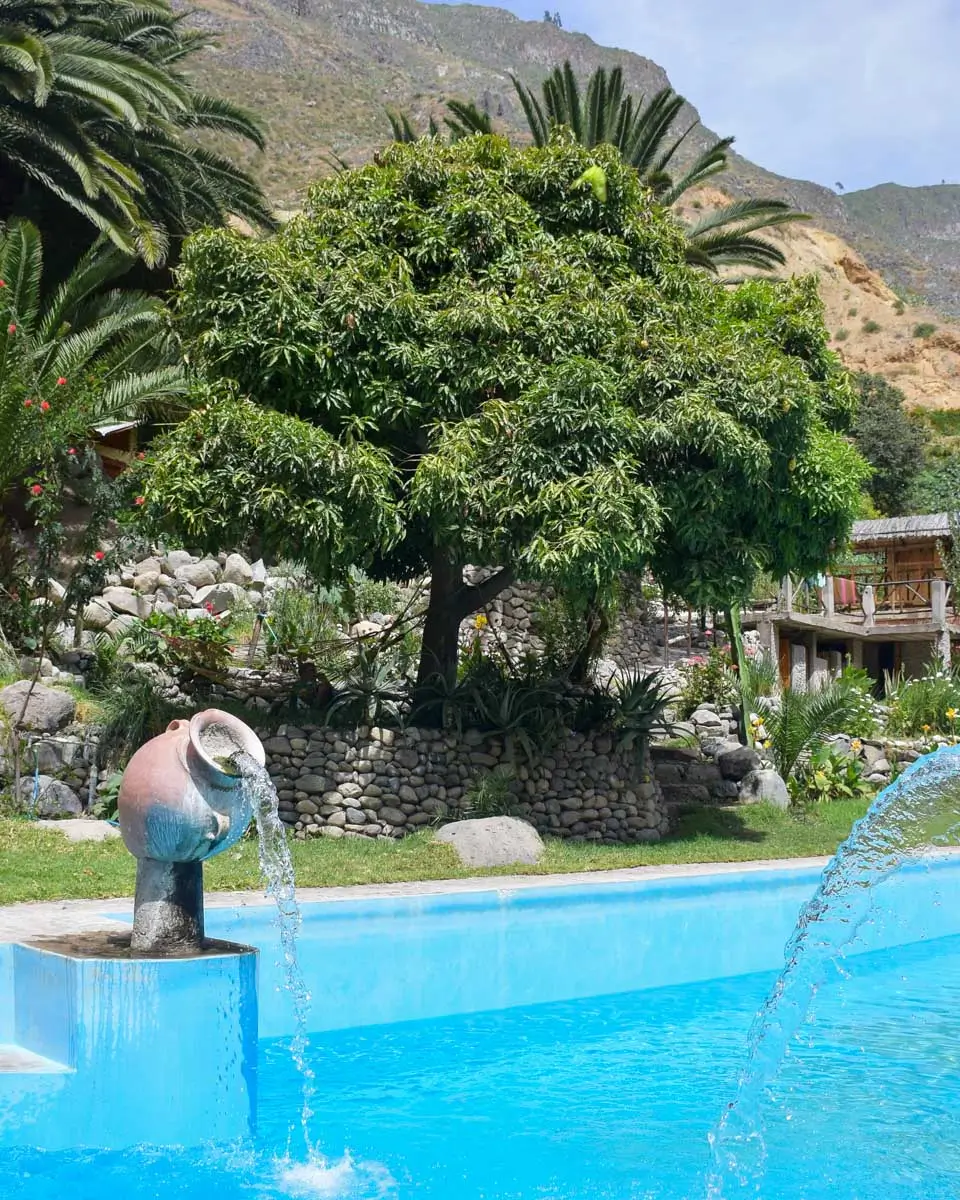 Paraiso Las Palmeras Lodge pool seen at the bottom of Colca Canyon on a trek from Arequipa, Peru