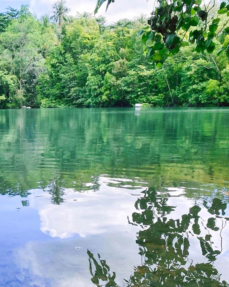 Calm lagoon surrounded by lush greenery seen during a Singapore catamaran cruise