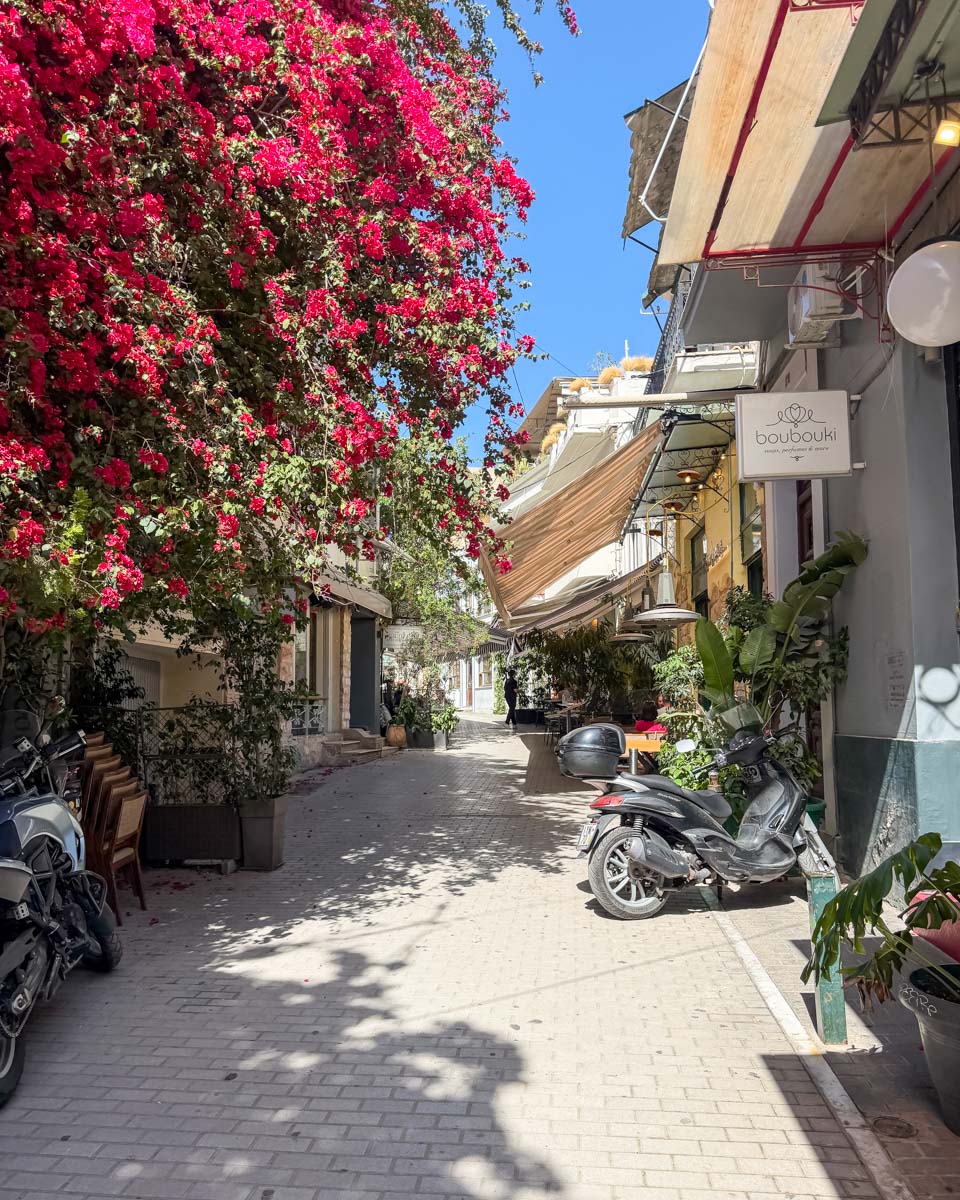 Street with flowers in Athens Greece on Hannah trip