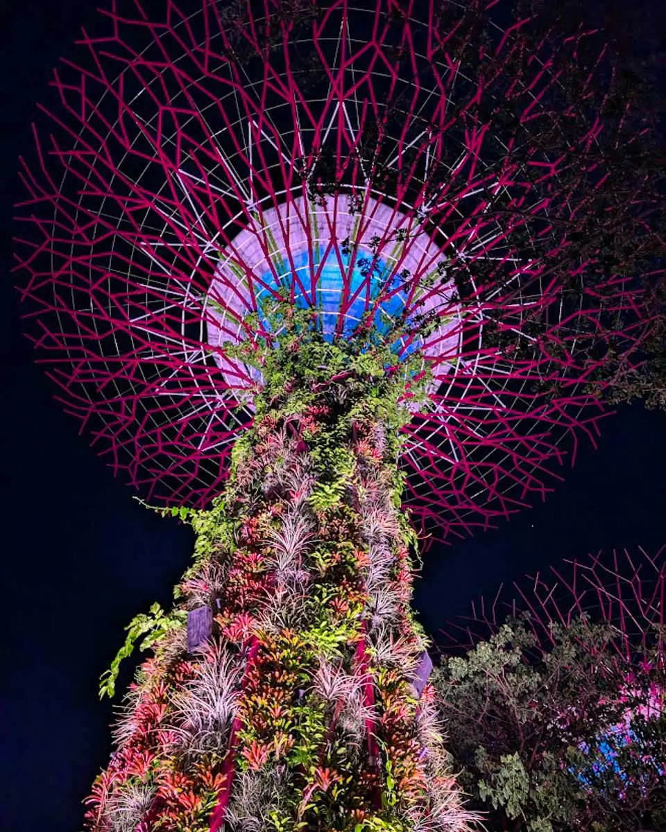 Supertree Grove illuminated with colorful lights at Gardens by the Bay during a nighttime light show in Singapore