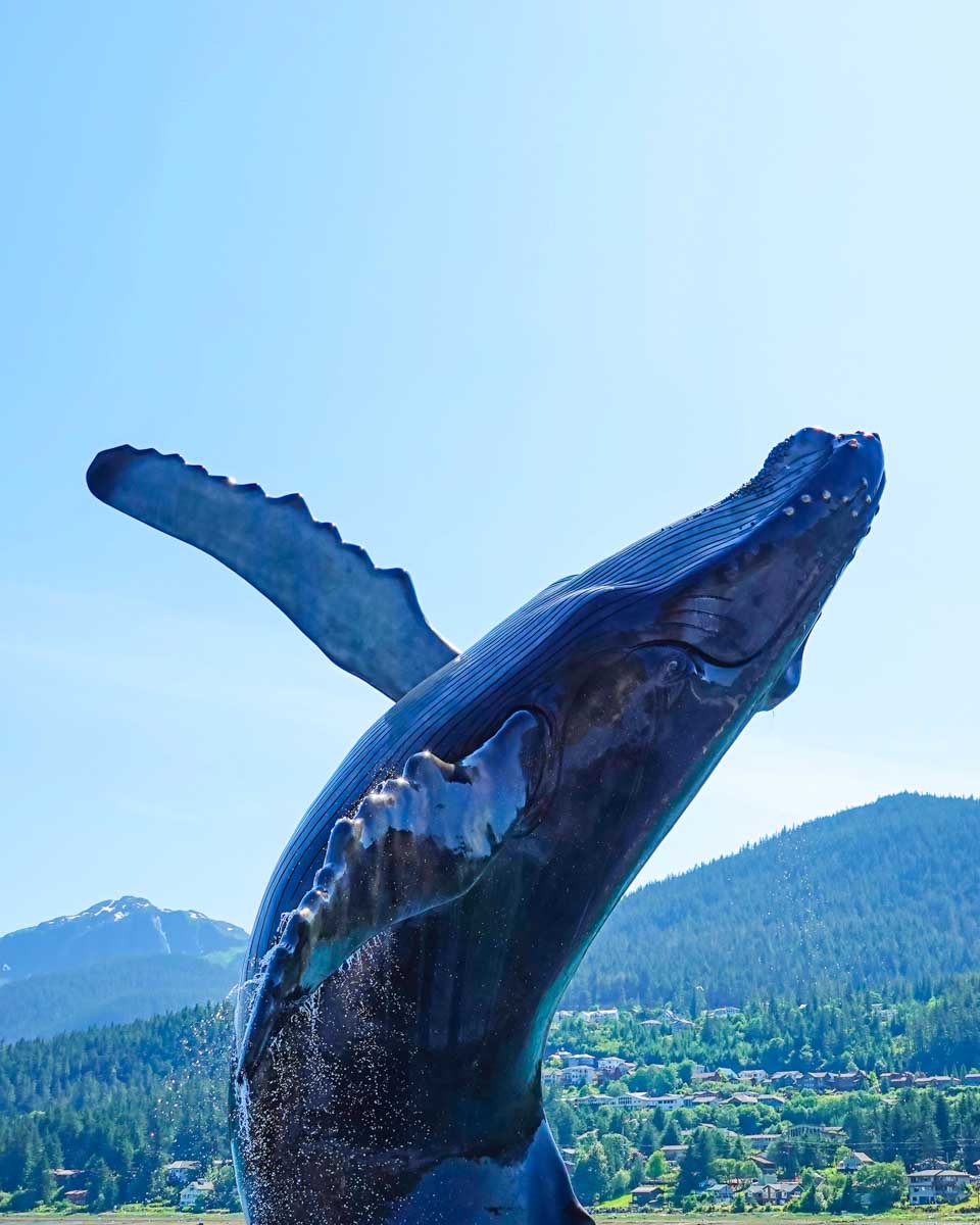 Tahku the Humpback Whale sculpture seen in Juneau Alaska