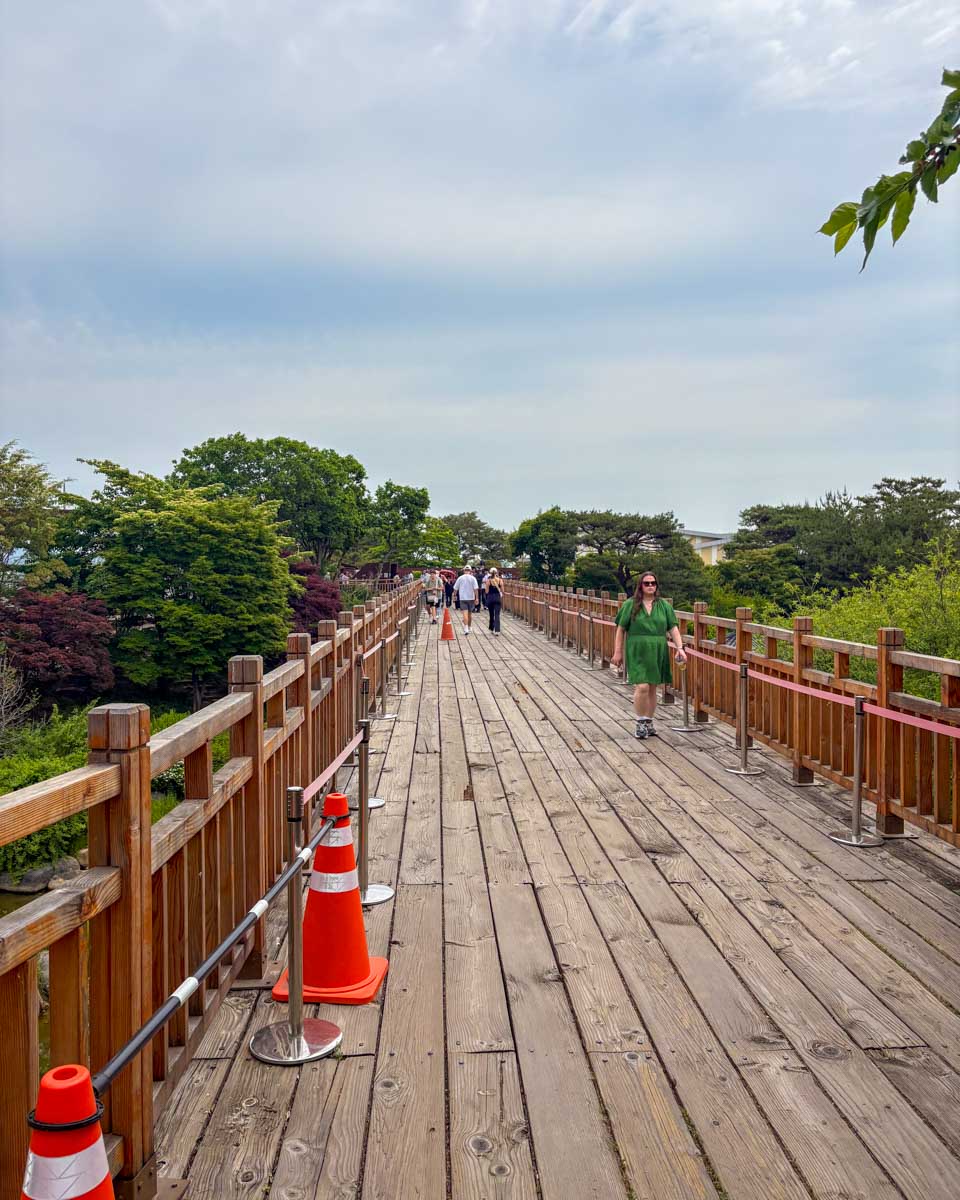 The Bridge of Freedom seen on a DMZ tour from Seoul South Korea 1