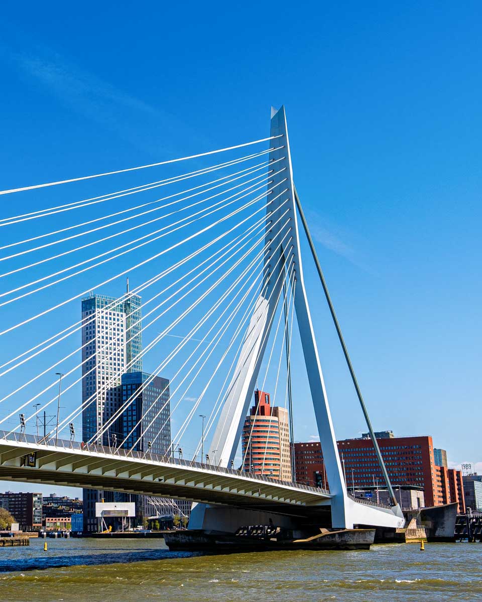 The-Erasmus-Bridge-in-Rotterdam-Netherlands