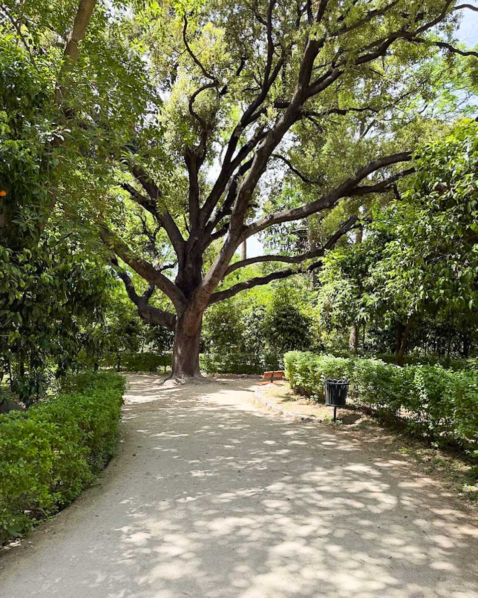 A shaded walking path through the National Gardens in Athens