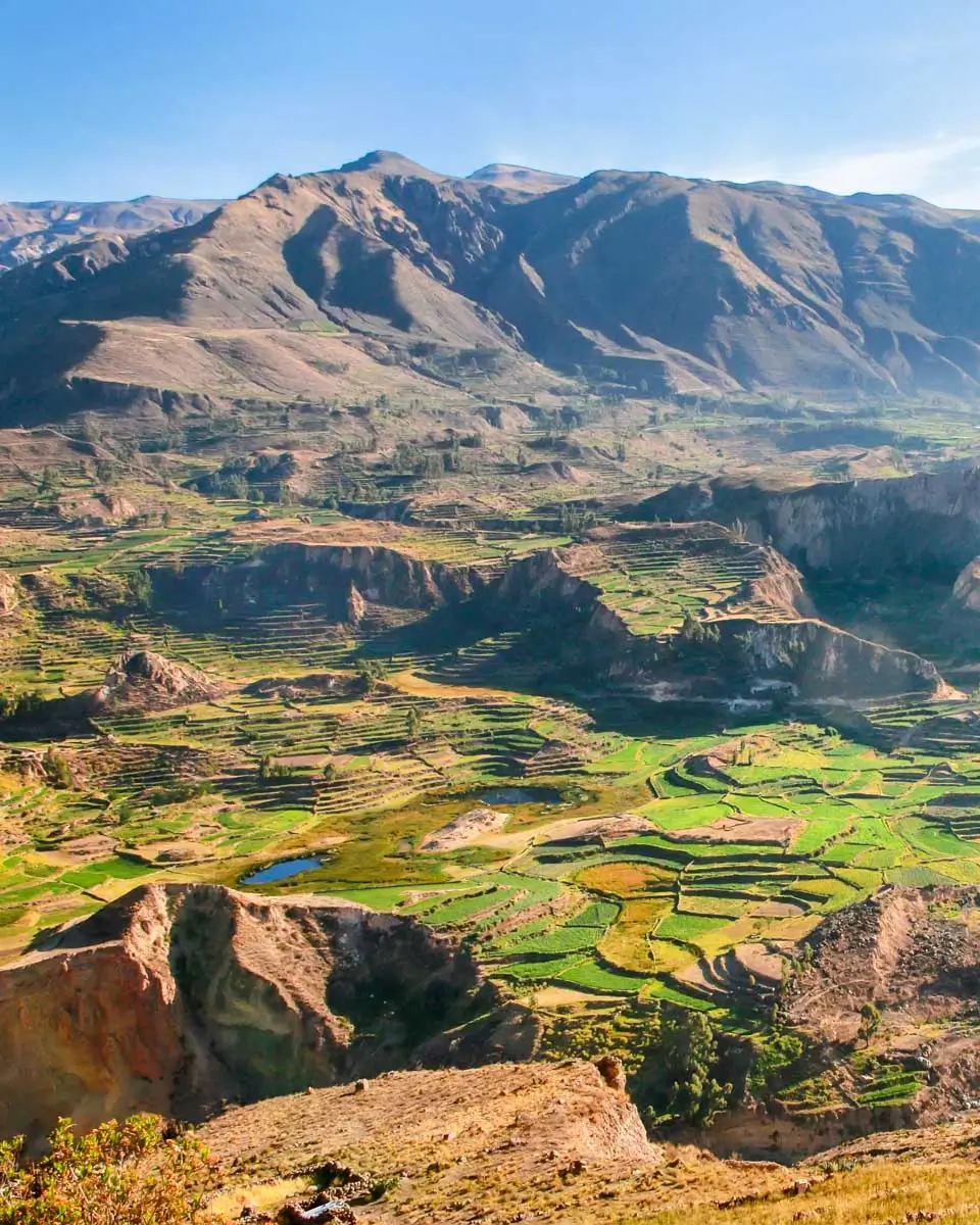 The terraces of Colca Canyon seen near Arequipa, Peru