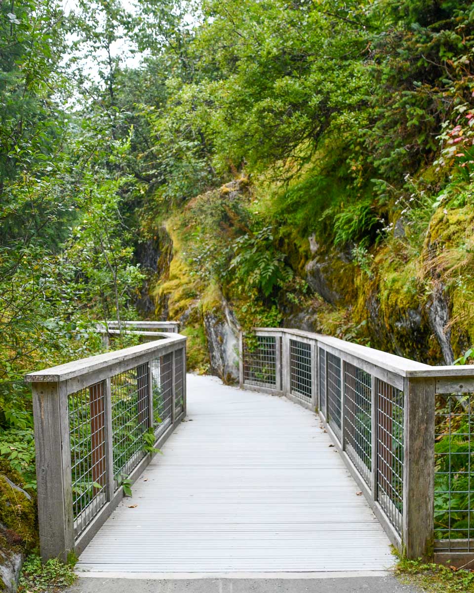 The trail to Nugget Falls at the Mendenhall Glacier Visitor Center near Juneau Alaska