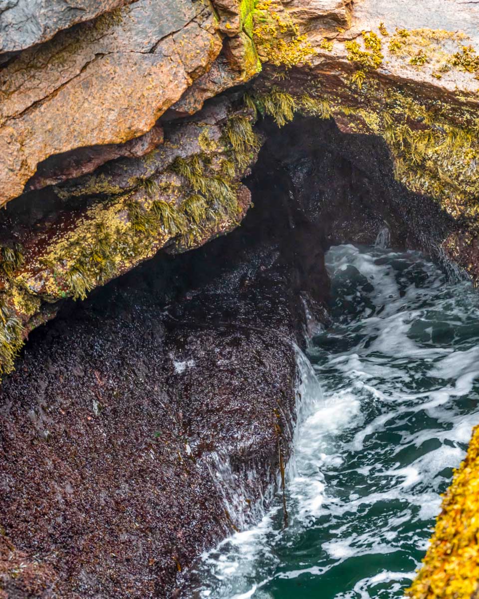 Thunder-Hole-seen-in-Acadia-National-Park-on-the-Ocean-Path-hike-from-Bar-Harbor-Maine