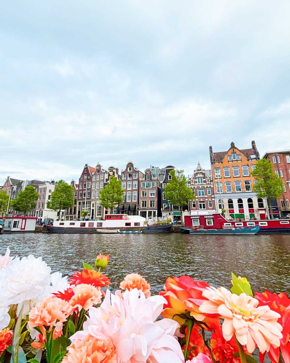 View-of-houses-along-the-canal-on-an-Amsterdam-canal-cruise