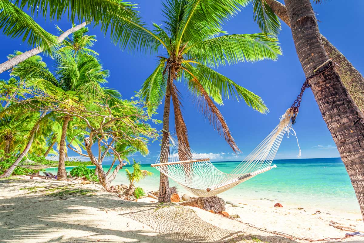 A hammock hanging from the palm trees on the beach in Fiji