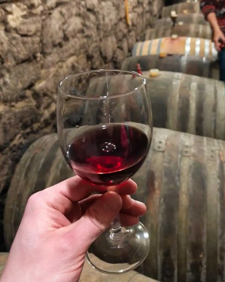 A person holding wine on a tour from Porto Portugal