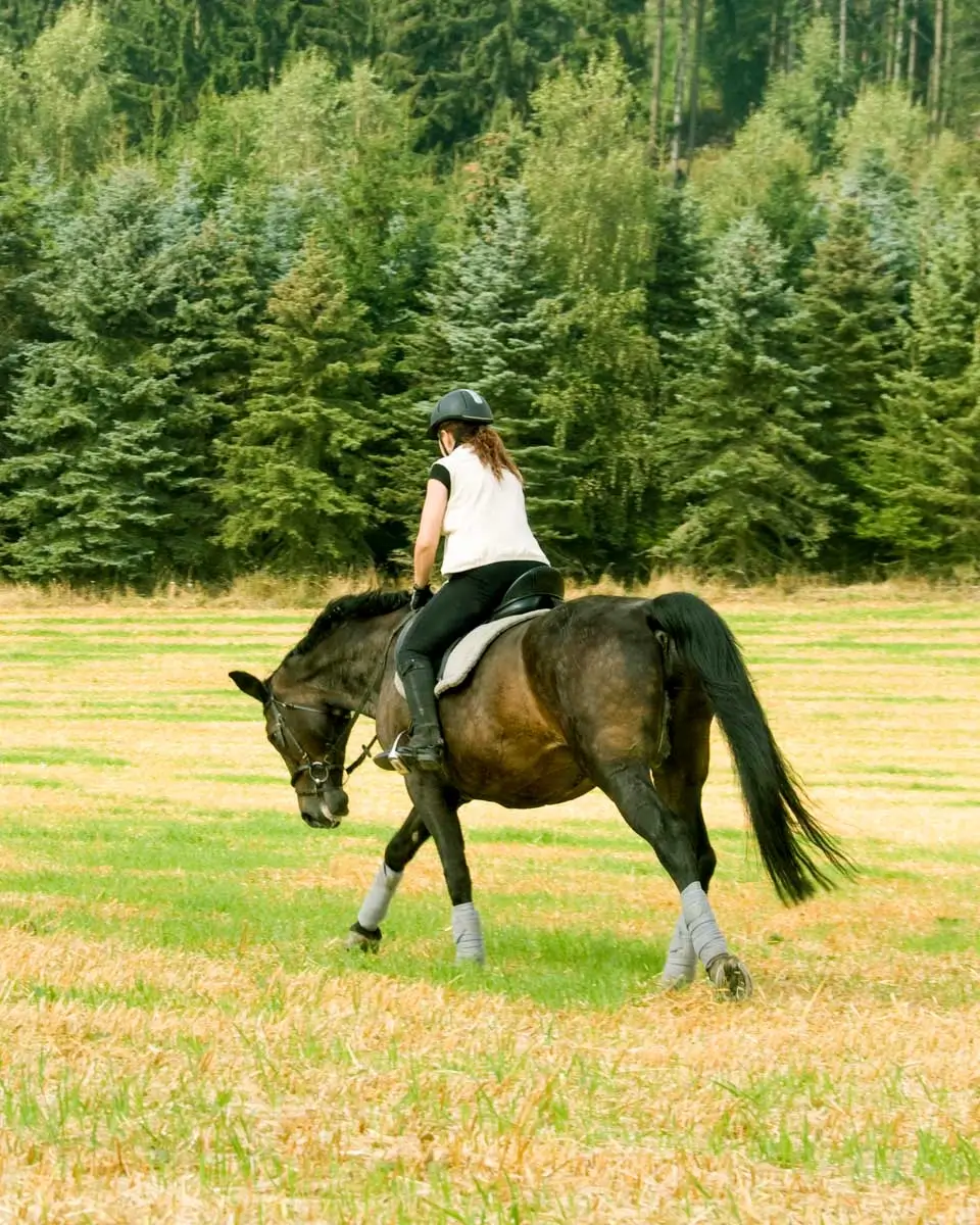 A person rides horseback in the summer in Rovaniemi, Finland