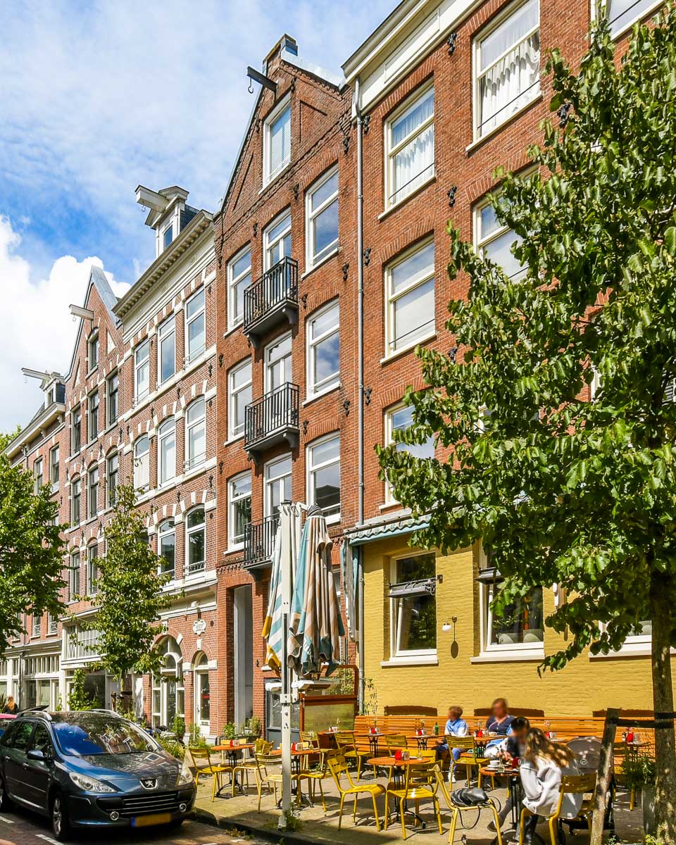 A picturesque street lined with trees and quaint buildings in Rotterdam