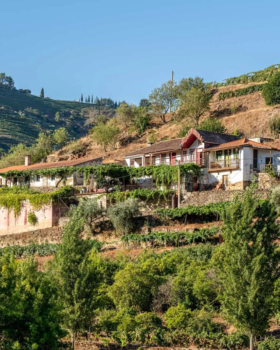 A quinta seen on a tour of the Douro Valley from Porto Portugal