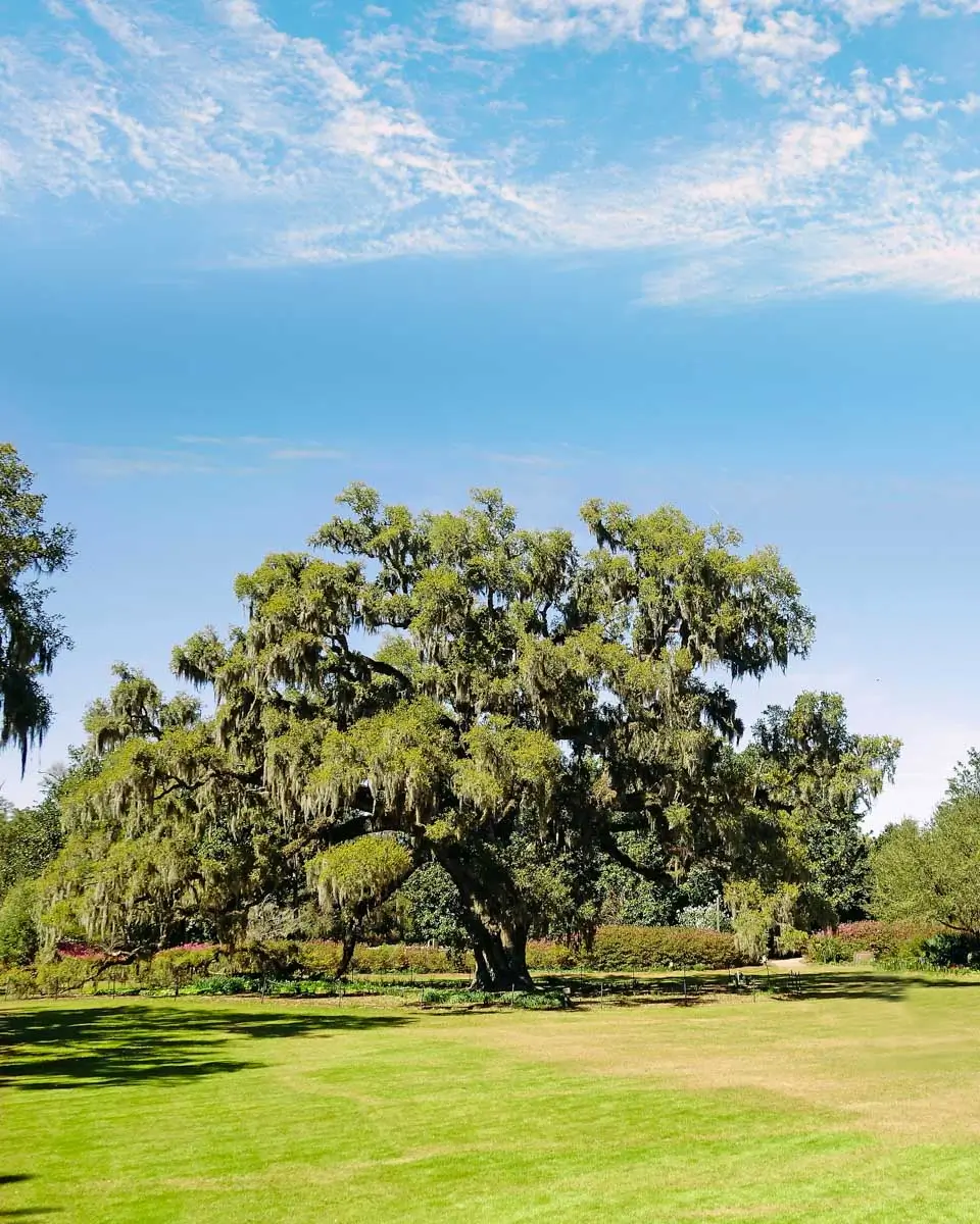 Airlie Gardens in Wilmington North Carolina (1)