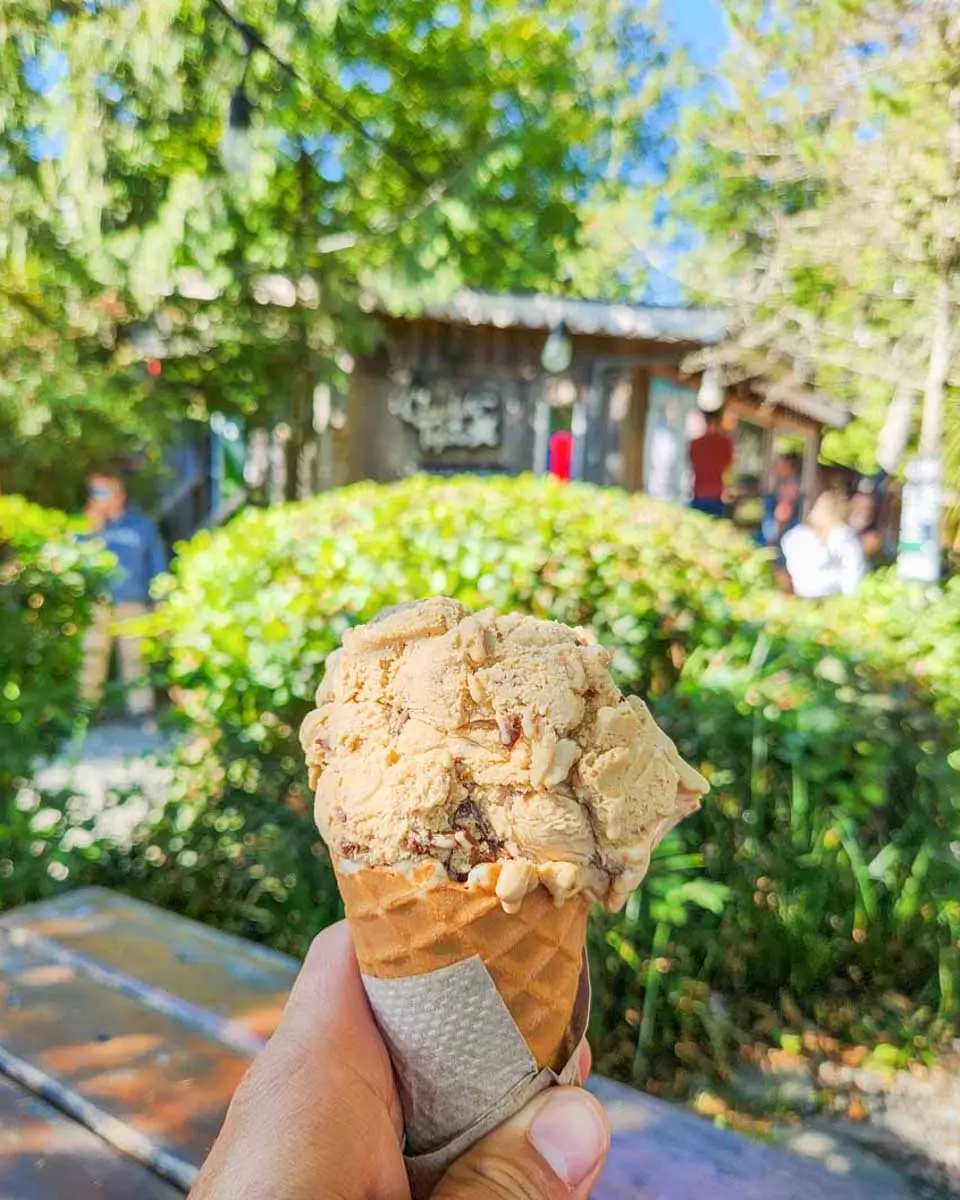 An ice cream eaten in Montreal, Quebec