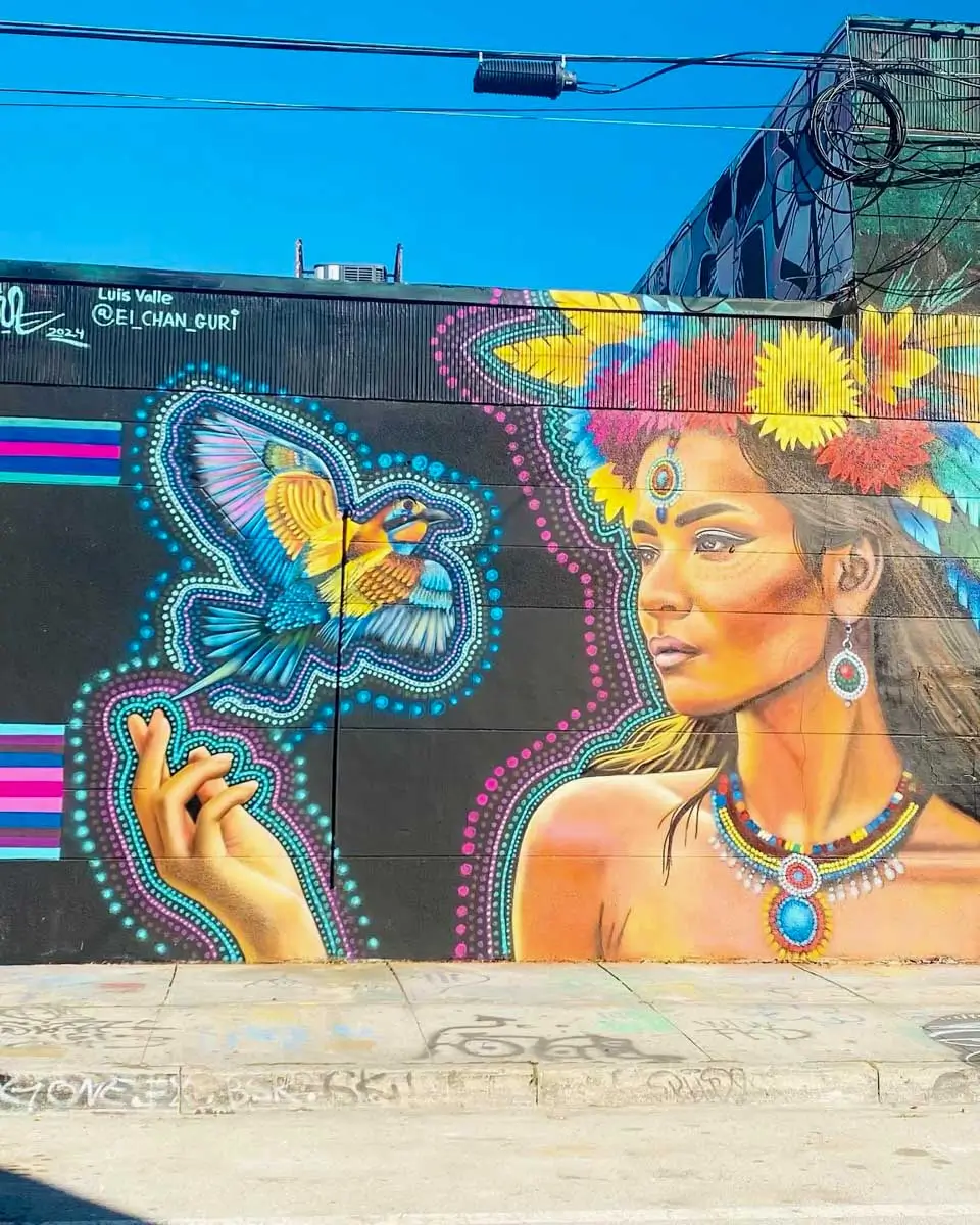 Artwork seen on a Wynwood Graffiti Tour in Miami, Florida