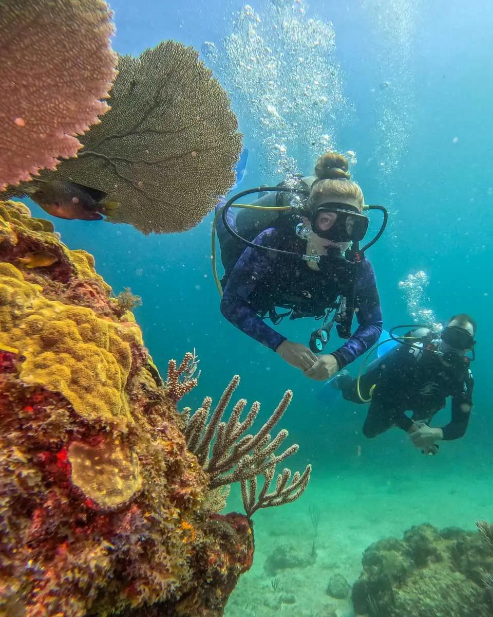 Bailey and Daniel scuba diving in Hawaii