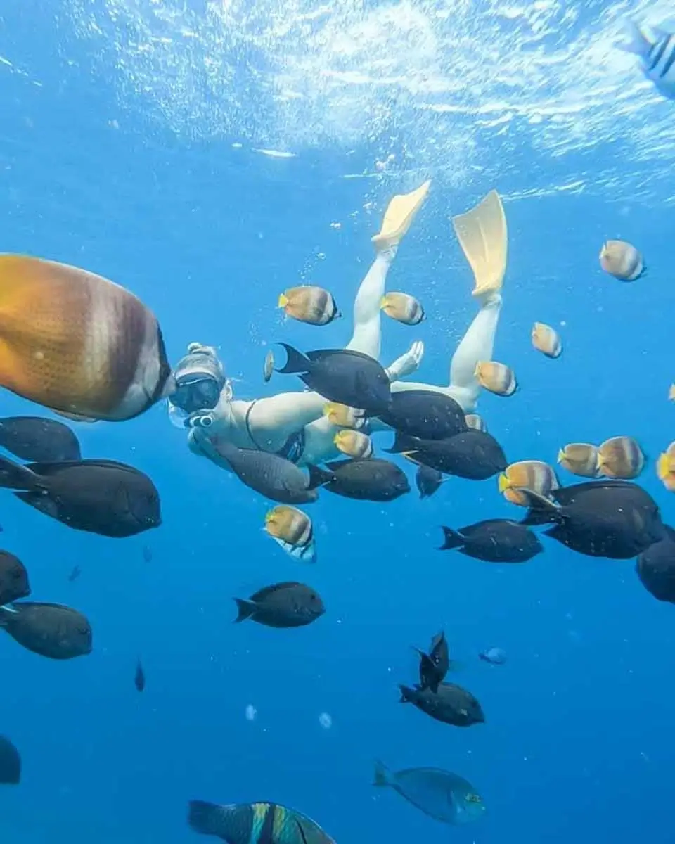 Bailey snorkeling in Puerto Plata