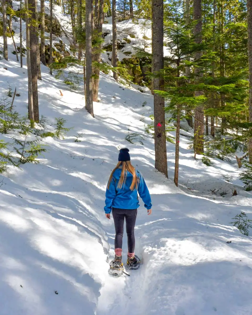 Bailey snowshoes around Lake Tahoe