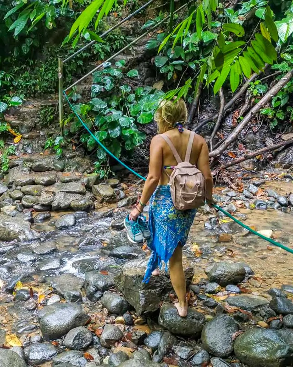 Bailey walking in a rainforest in Malaysia