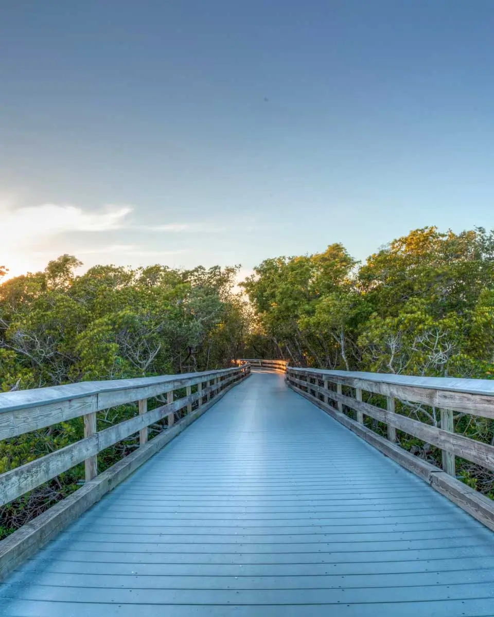 Clam Pass boardwalk in Naples Florida