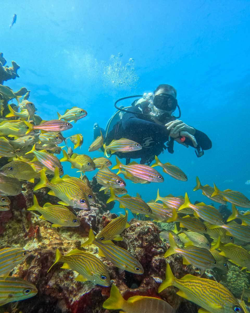 Daniel-scuba-diving-in the Philippines