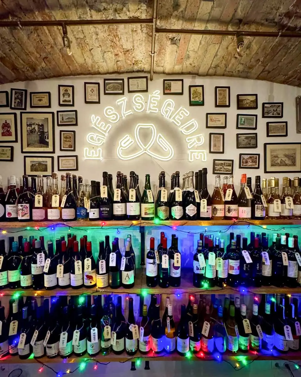 Wine cellar with rows of colorful wine bottles and wooden barrels