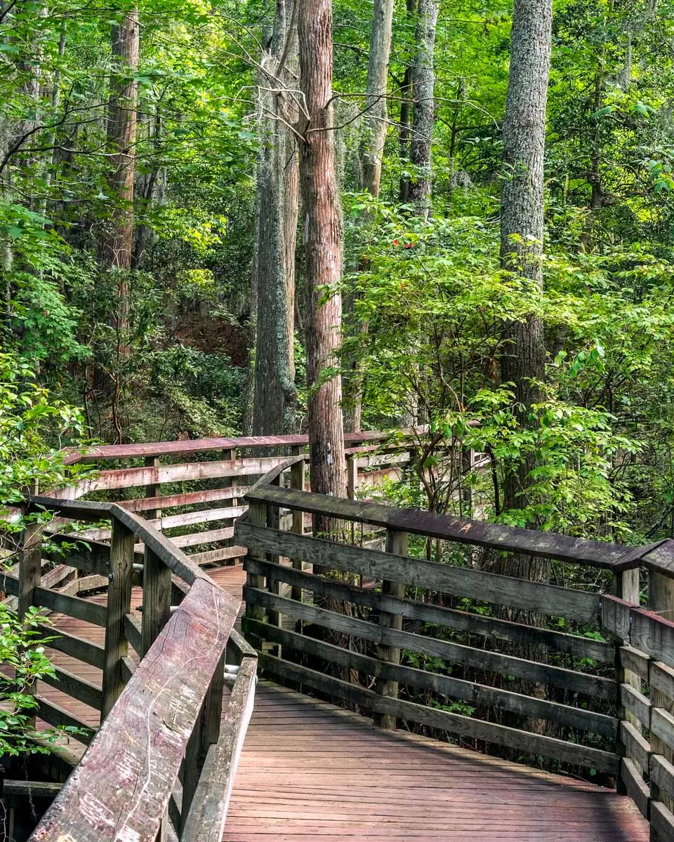 First Landing State Park in Virginia Beach, Virginia 2